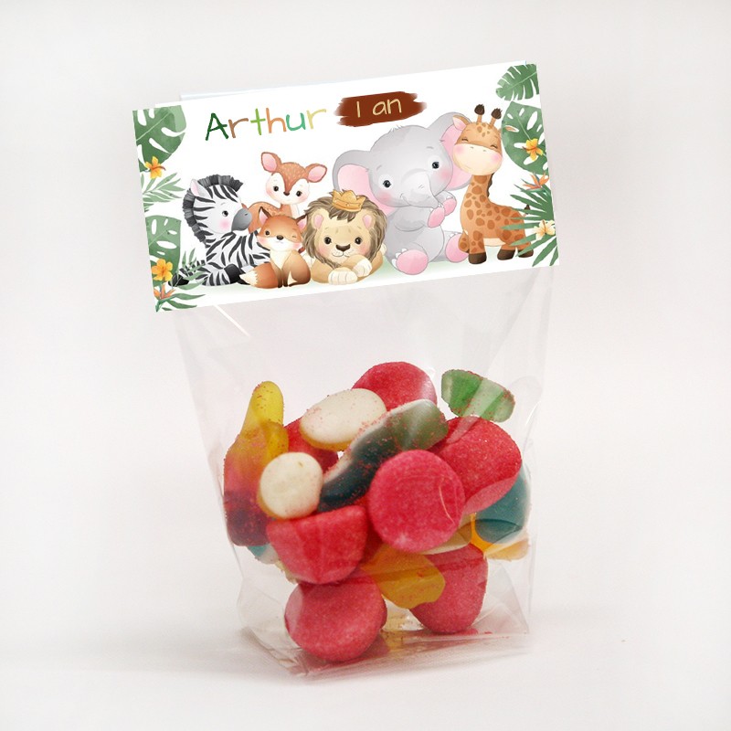 Sachet dragées bonbons personnalisés baptême anniversaire animaux jungle