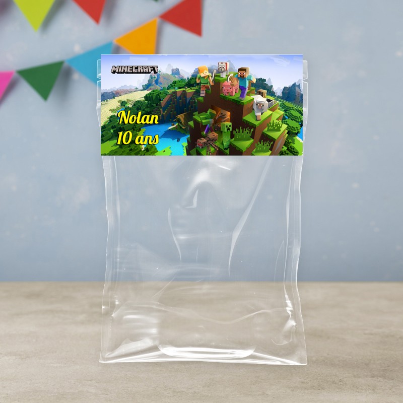 Sachet de bonbon Minecraft